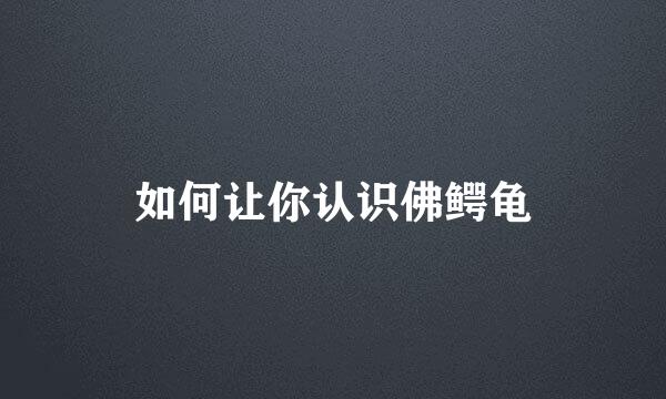 如何让你认识佛鳄龟