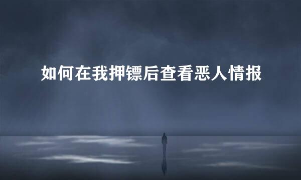如何在我押镖后查看恶人情报