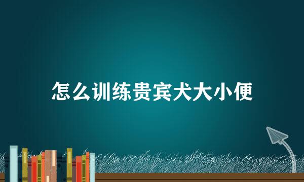 怎么训练贵宾犬大小便