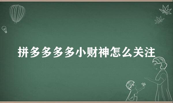 拼多多多多小财神怎么关注