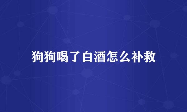 狗狗喝了白酒怎么补救