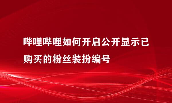哔哩哔哩如何开启公开显示已购买的粉丝装扮编号