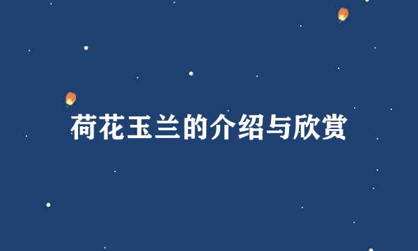 荷花玉兰的介绍与欣赏