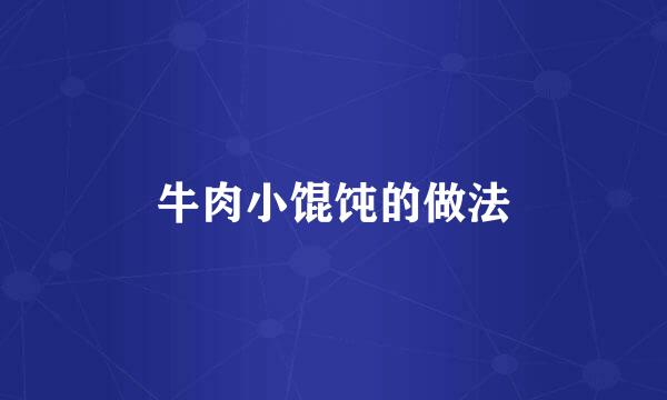 牛肉小馄饨的做法