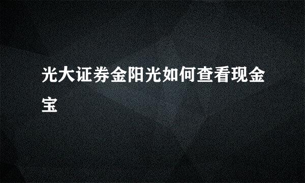 光大证券金阳光如何查看现金宝