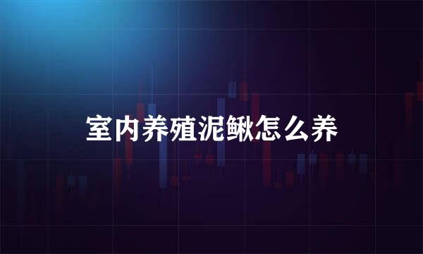 室内养殖泥鳅怎么养