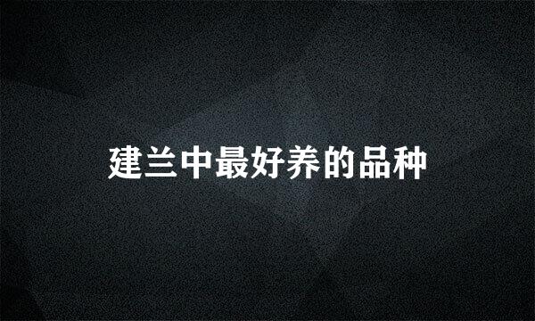 建兰中最好养的品种