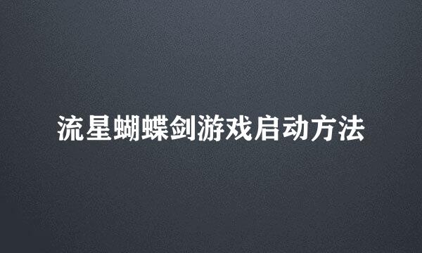 流星蝴蝶剑游戏启动方法