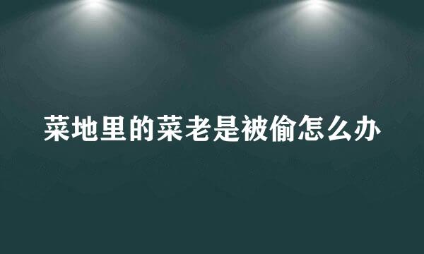 菜地里的菜老是被偷怎么办