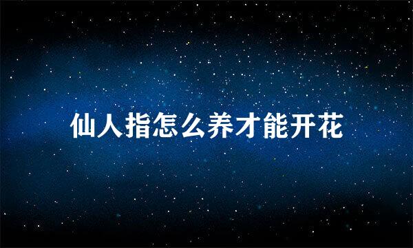 仙人指怎么养才能开花