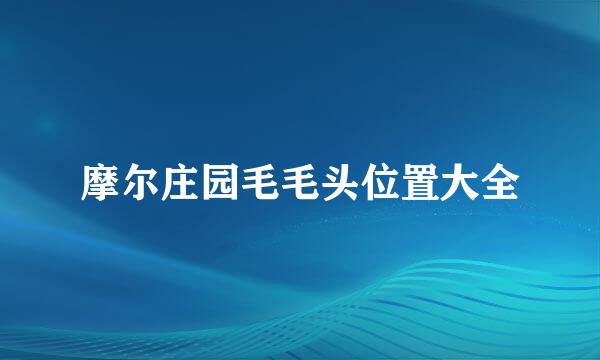 摩尔庄园毛毛头位置大全