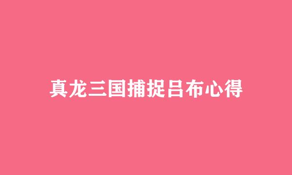 真龙三国捕捉吕布心得