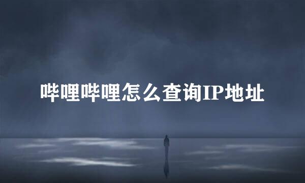哔哩哔哩怎么查询IP地址