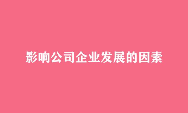 影响公司企业发展的因素