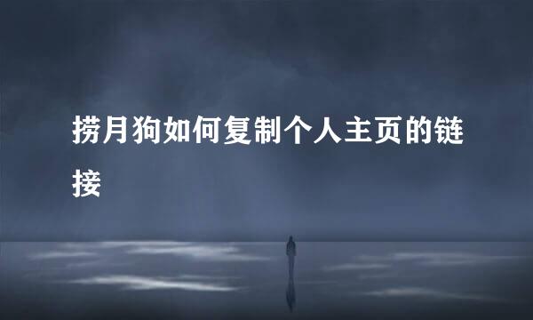 捞月狗如何复制个人主页的链接