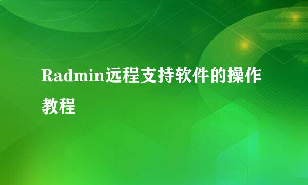 Radmin远程支持软件的操作教程