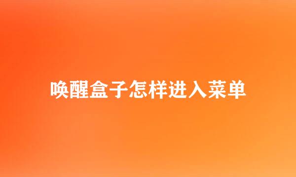 唤醒盒子怎样进入菜单