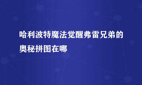 哈利波特魔法觉醒弗雷兄弟的奥秘拼图在哪