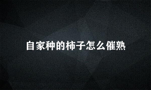 自家种的柿子怎么催熟