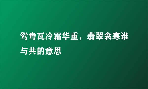 鸳鸯瓦冷霜华重，翡翠衾寒谁与共的意思