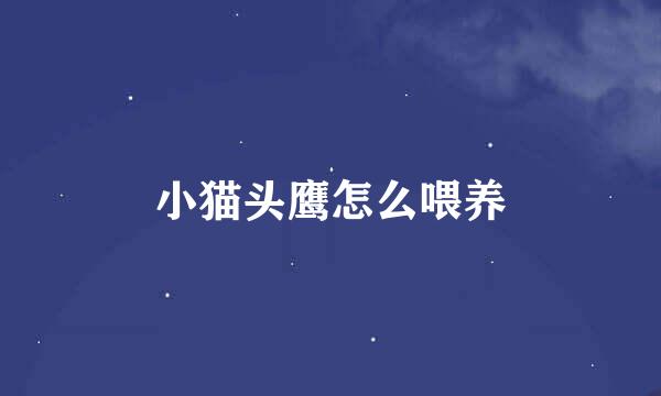 小猫头鹰怎么喂养