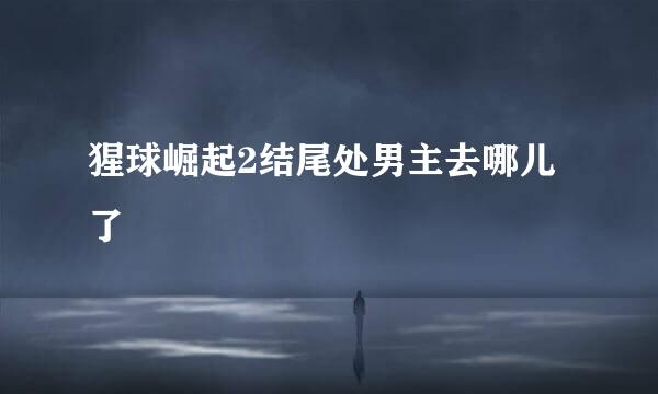 猩球崛起2结尾处男主去哪儿了