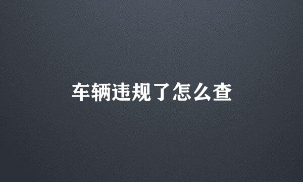 车辆违规了怎么查