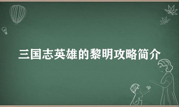 三国志英雄的黎明攻略简介