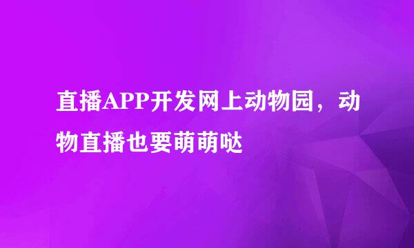 直播APP开发网上动物园，动物直播也要萌萌哒