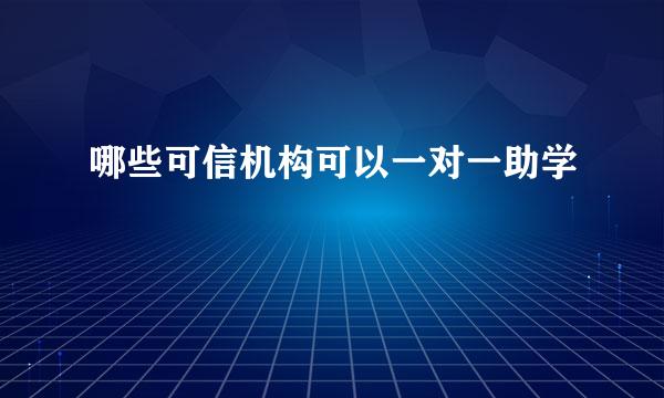 哪些可信机构可以一对一助学