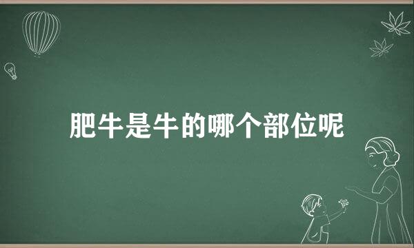 肥牛是牛的哪个部位呢