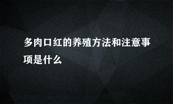 多肉口红的养殖方法和注意事项是什么