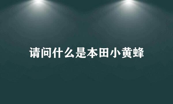 请问什么是本田小黄蜂