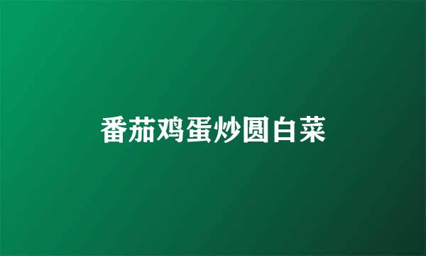 番茄鸡蛋炒圆白菜