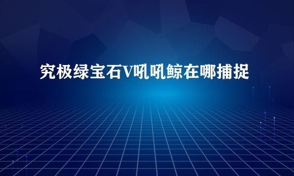 究极绿宝石V吼吼鲸在哪捕捉
