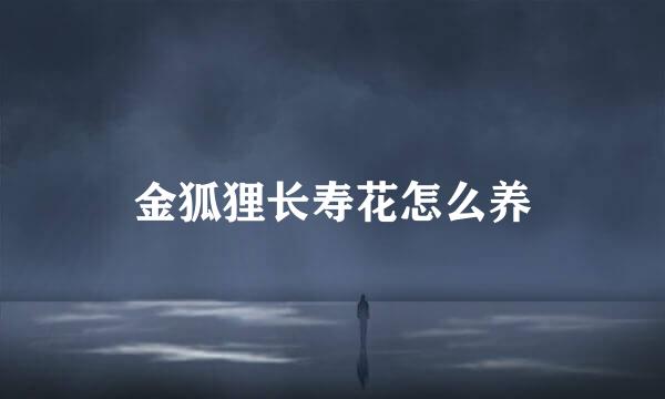 金狐狸长寿花怎么养
