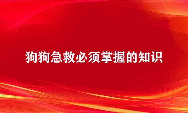 狗狗急救必须掌握的知识