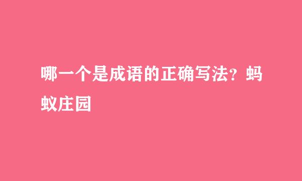 哪一个是成语的正确写法？蚂蚁庄园