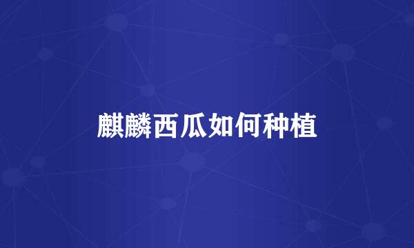 麒麟西瓜如何种植