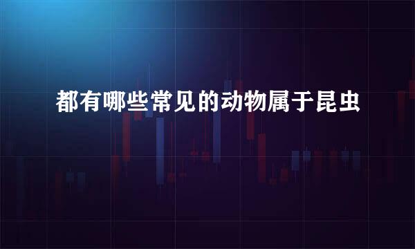 都有哪些常见的动物属于昆虫