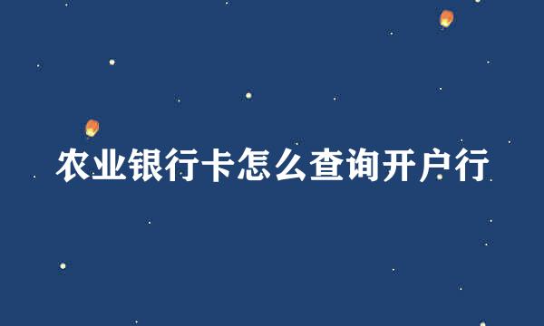 农业银行卡怎么查询开户行
