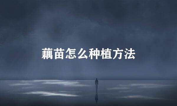 藕苗怎么种植方法