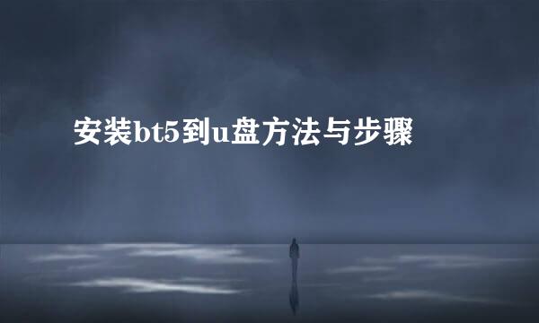 安装bt5到u盘方法与步骤
