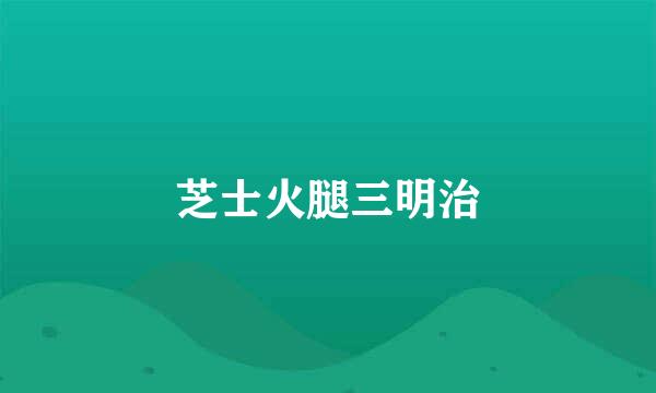 芝士火腿三明治