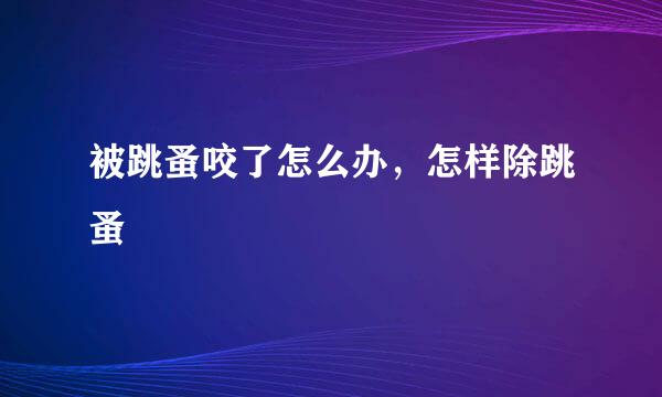 被跳蚤咬了怎么办，怎样除跳蚤