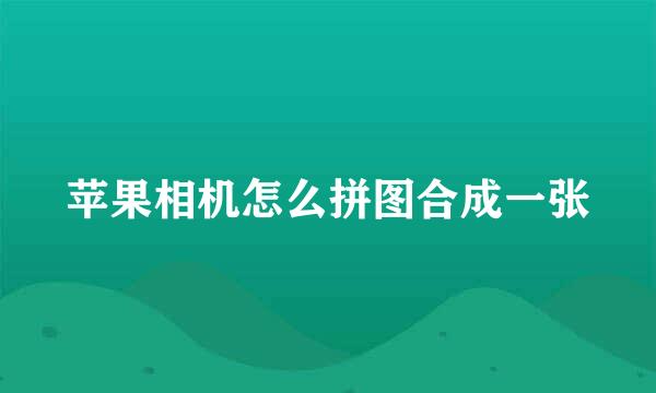 苹果相机怎么拼图合成一张