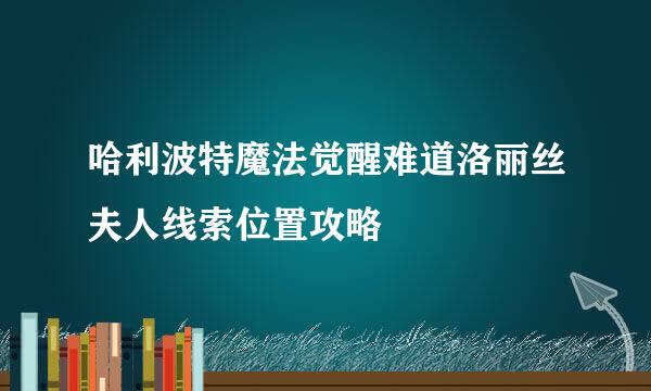 哈利波特魔法觉醒难道洛丽丝夫人线索位置攻略
