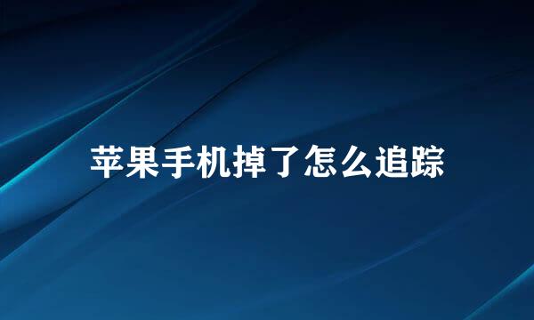 苹果手机掉了怎么追踪