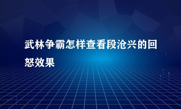 武林争霸怎样查看段沧兴的回怒效果
