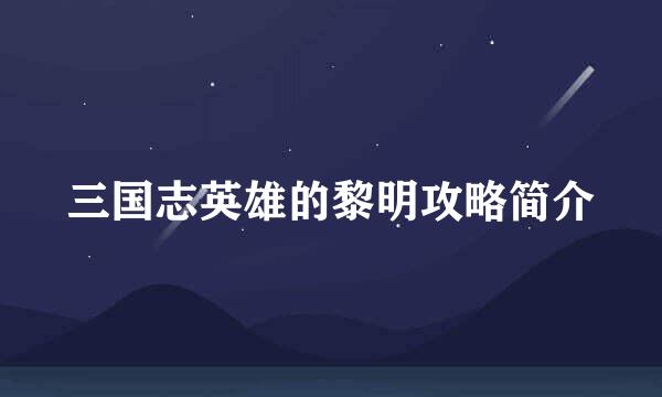 三国志英雄的黎明攻略简介